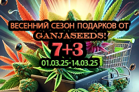 Весенний сезон подарков от GanjaSeeds!